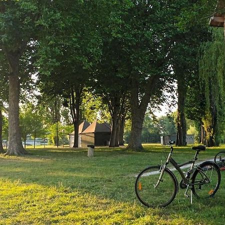 *Gite Aux Grappes Du Pressoir* A 2 Km De Beauval Seigy Buitenkant foto