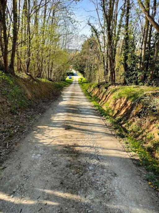 *Gite Aux Grappes Du Pressoir* A 2 Km De Beauval Seigy Buitenkant foto