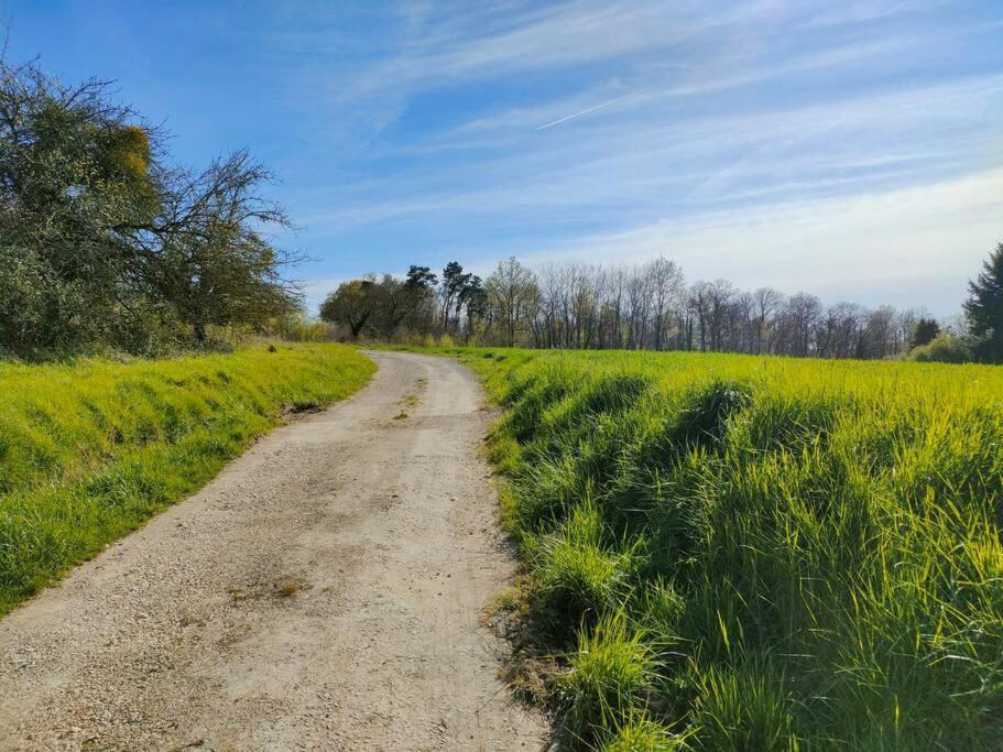 *Gite Aux Grappes Du Pressoir* A 2 Km De Beauval Seigy Buitenkant foto
